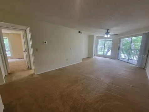 10024 Strafford Oak Court Tampa FL 33624