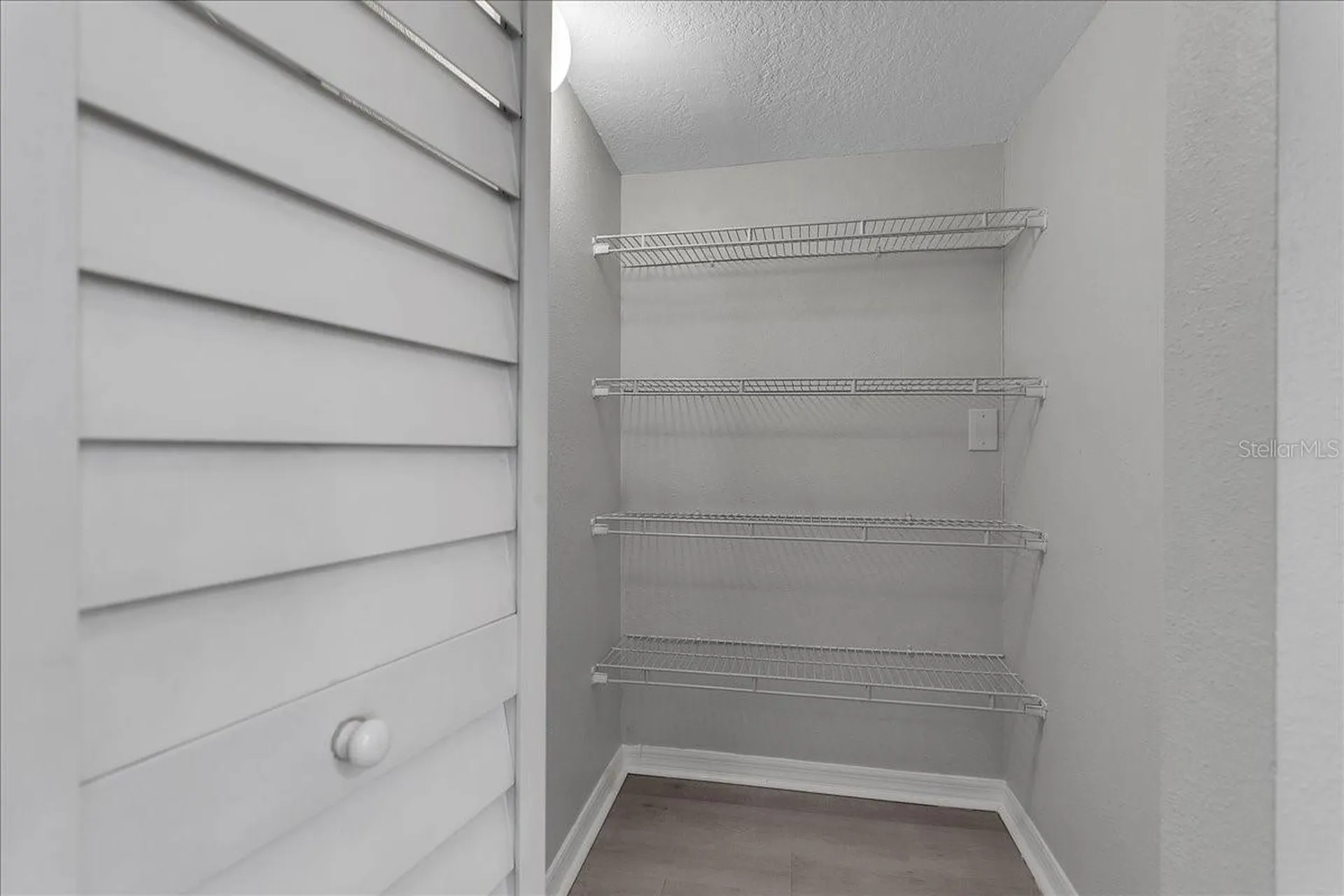6008 N Tampa Street Tampa FL 33604