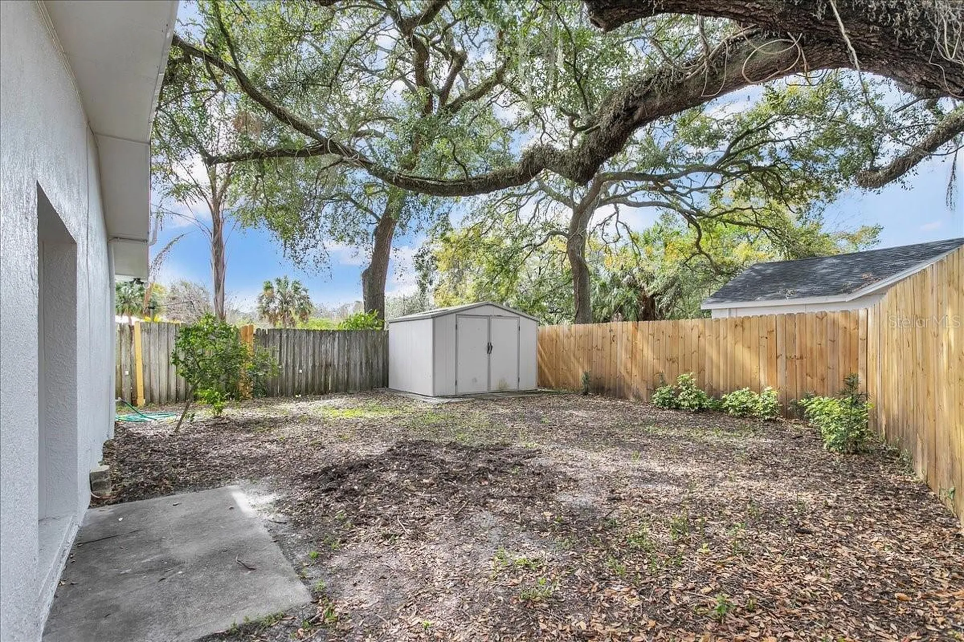 6008 N Tampa Street Tampa FL 33604