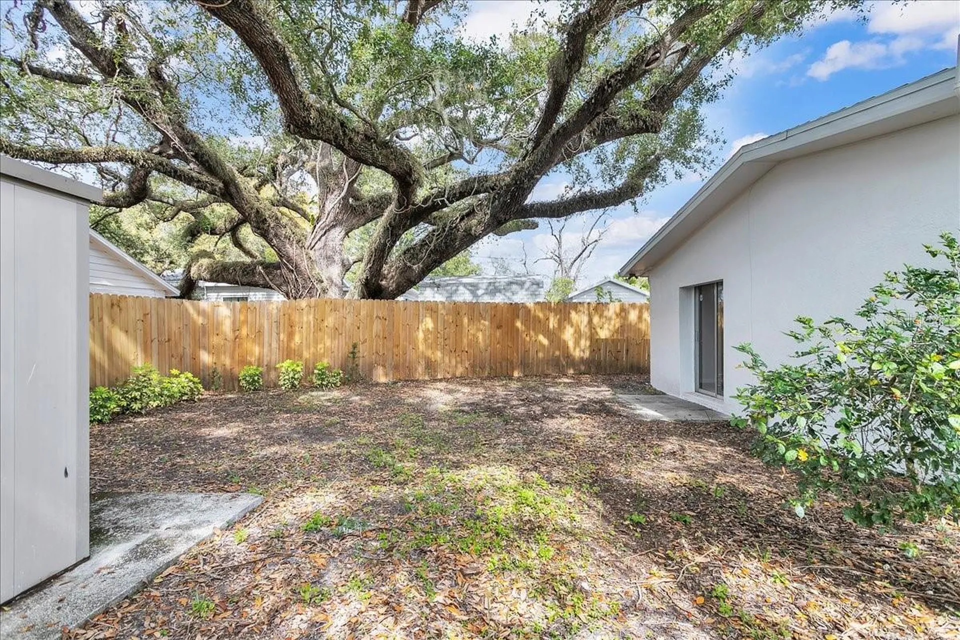 6008 N Tampa Street Tampa FL 33604