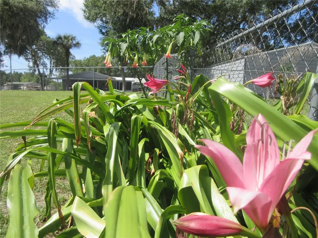 2300 SE 173rd Avenue Silver Springs FL 34488