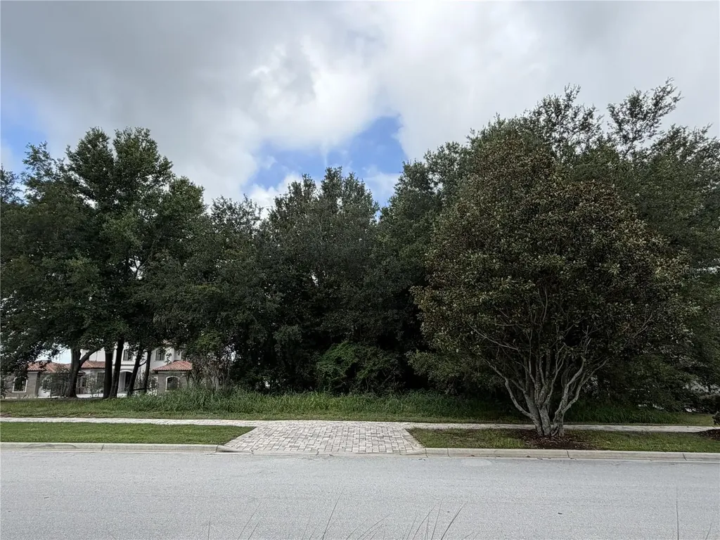 15345 Pendio Drive Bella Collina FL 34756
