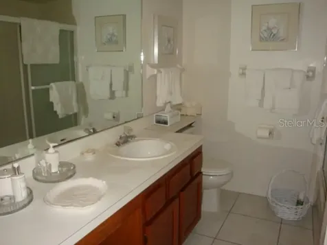 272 Woodlake Wynde Oldsmar FL 34677