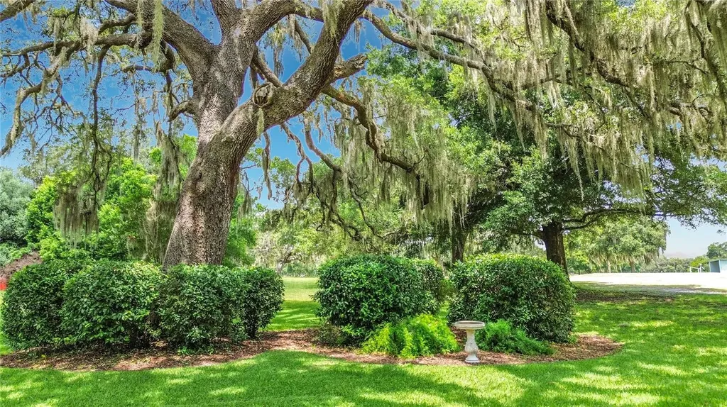 8709 E Sandpiper Drive Inverness FL 34450