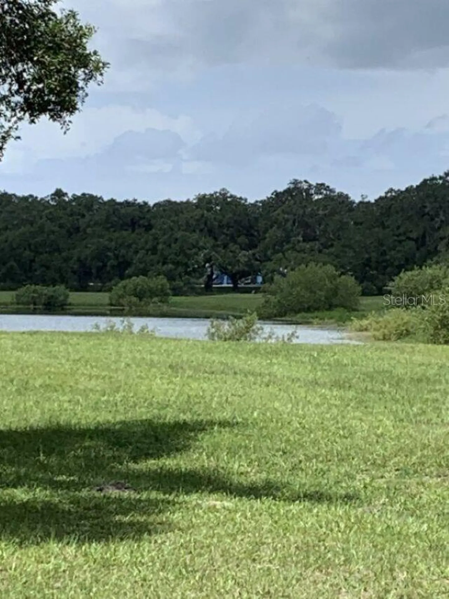 12878 SW 76th Lane Dunnellon FL 34432