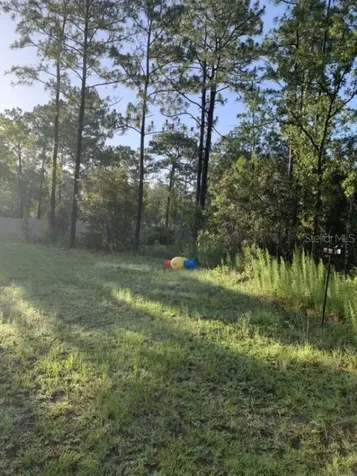 12878 SW 76th Lane Dunnellon FL 34432