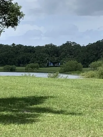 12878 SW 76th Lane Dunnellon FL 34432