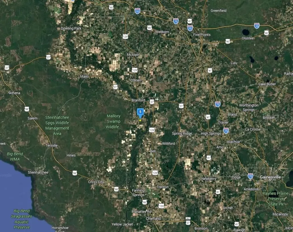 301 SE Cheetah Lane Branford FL 32008