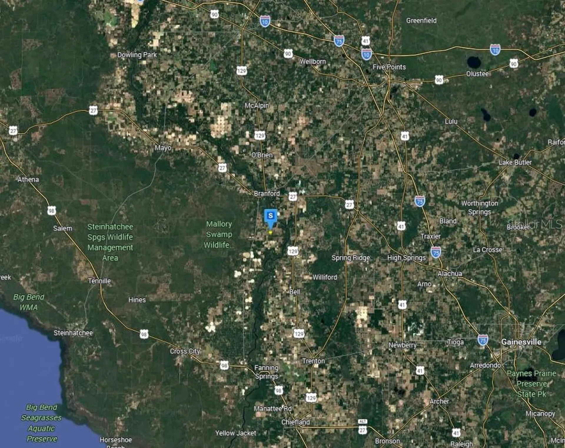 301 SE Cheetah Lane Branford FL 32008