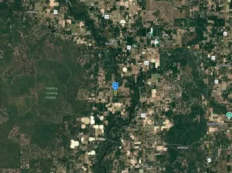 301 SE Cheetah Lane Branford FL 32008