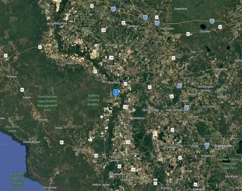 301 SE Cheetah Lane Branford FL 32008