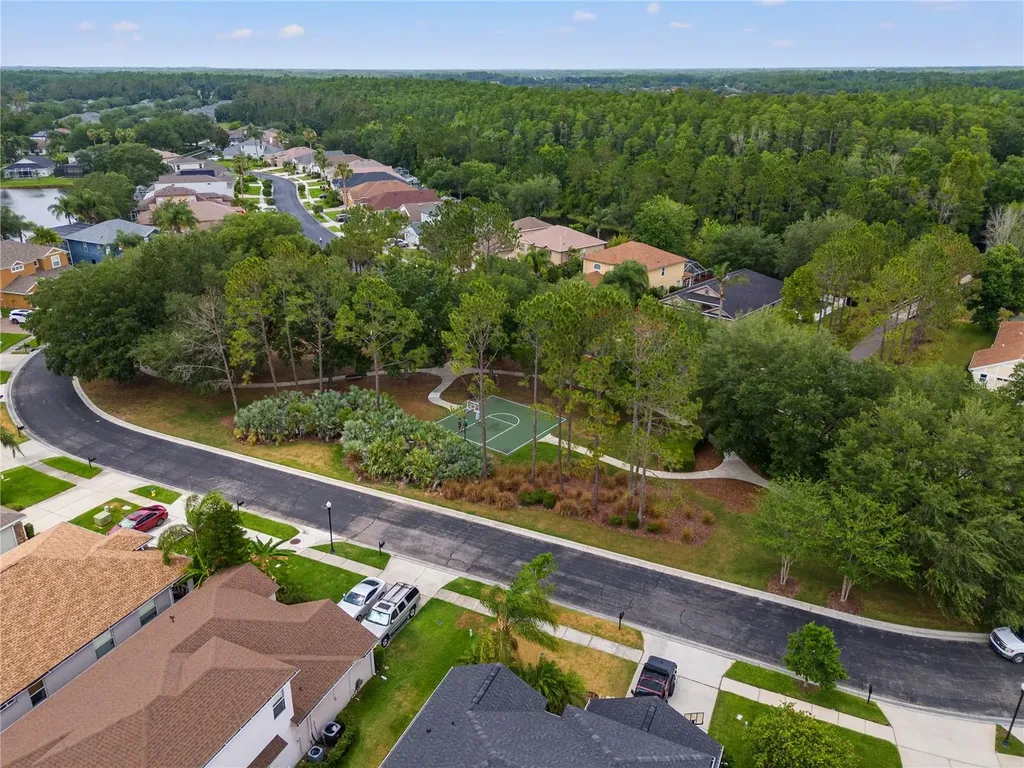 3056 Sunwatch Drive Wesley Chapel FL 33544