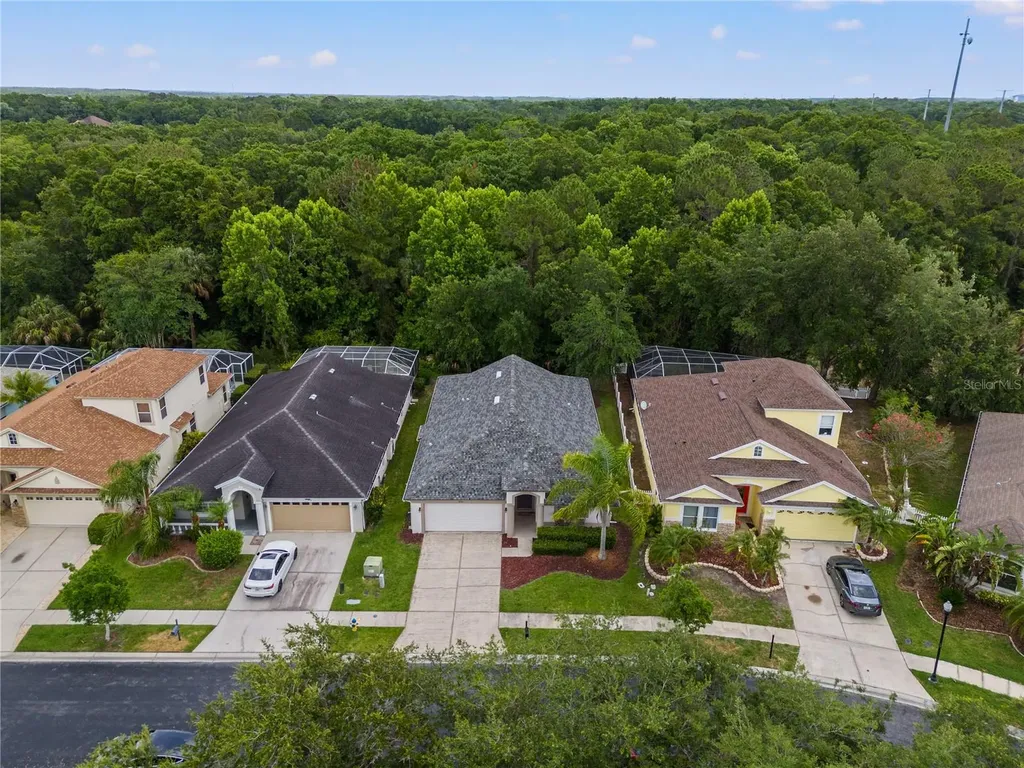 3056 Sunwatch Drive Wesley Chapel FL 33544