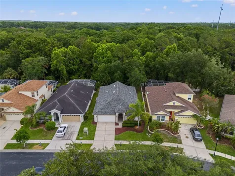 3056 Sunwatch Drive Wesley Chapel FL 33544