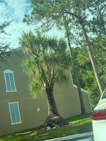 8648 Hunters Key Circle Tampa FL 33647