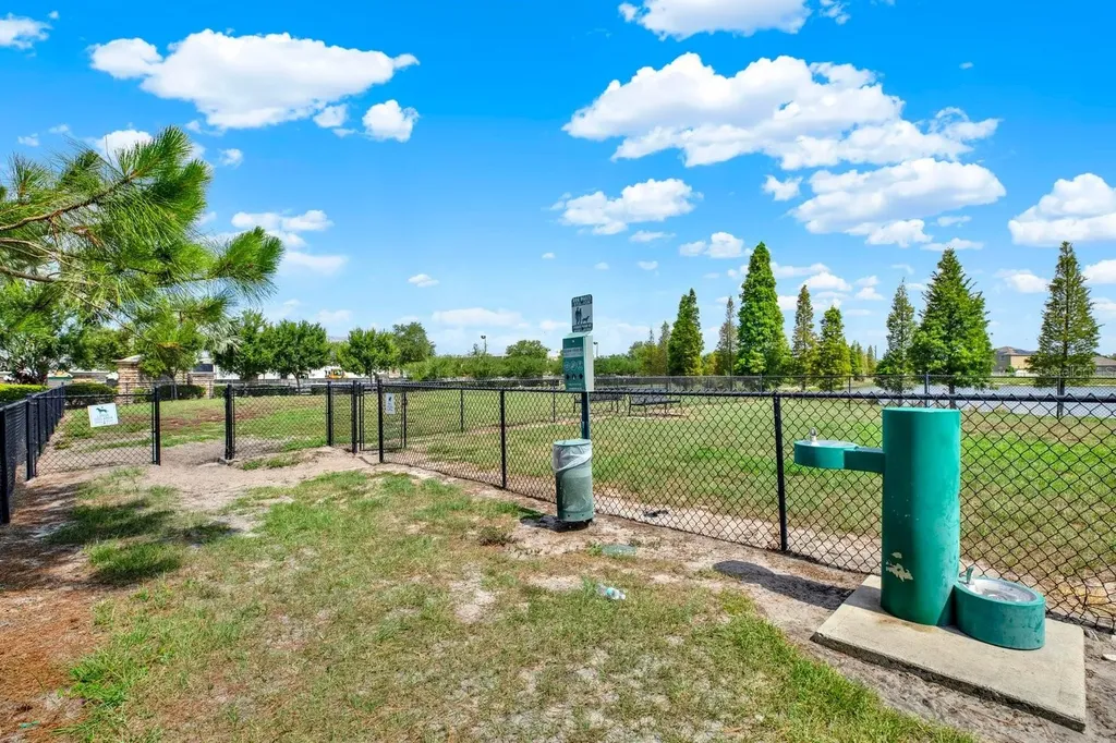 10109 Crested Fringe Drive Riverview FL 33578