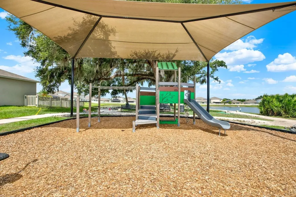 10109 Crested Fringe Drive Riverview FL 33578