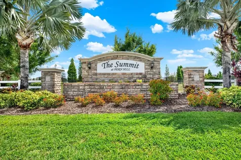 10109 Crested Fringe Drive Riverview FL 33578