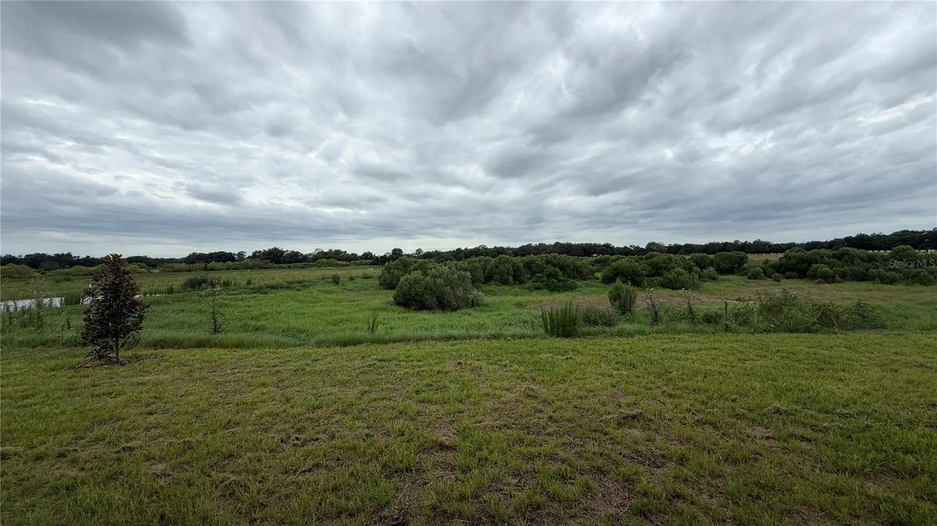 4378 Winesap Way Lakeland FL 33810