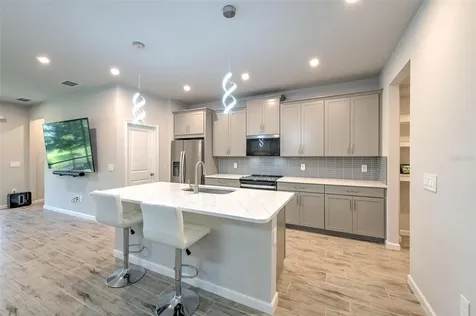 1133 Creek Valley Court Brandon FL 33511