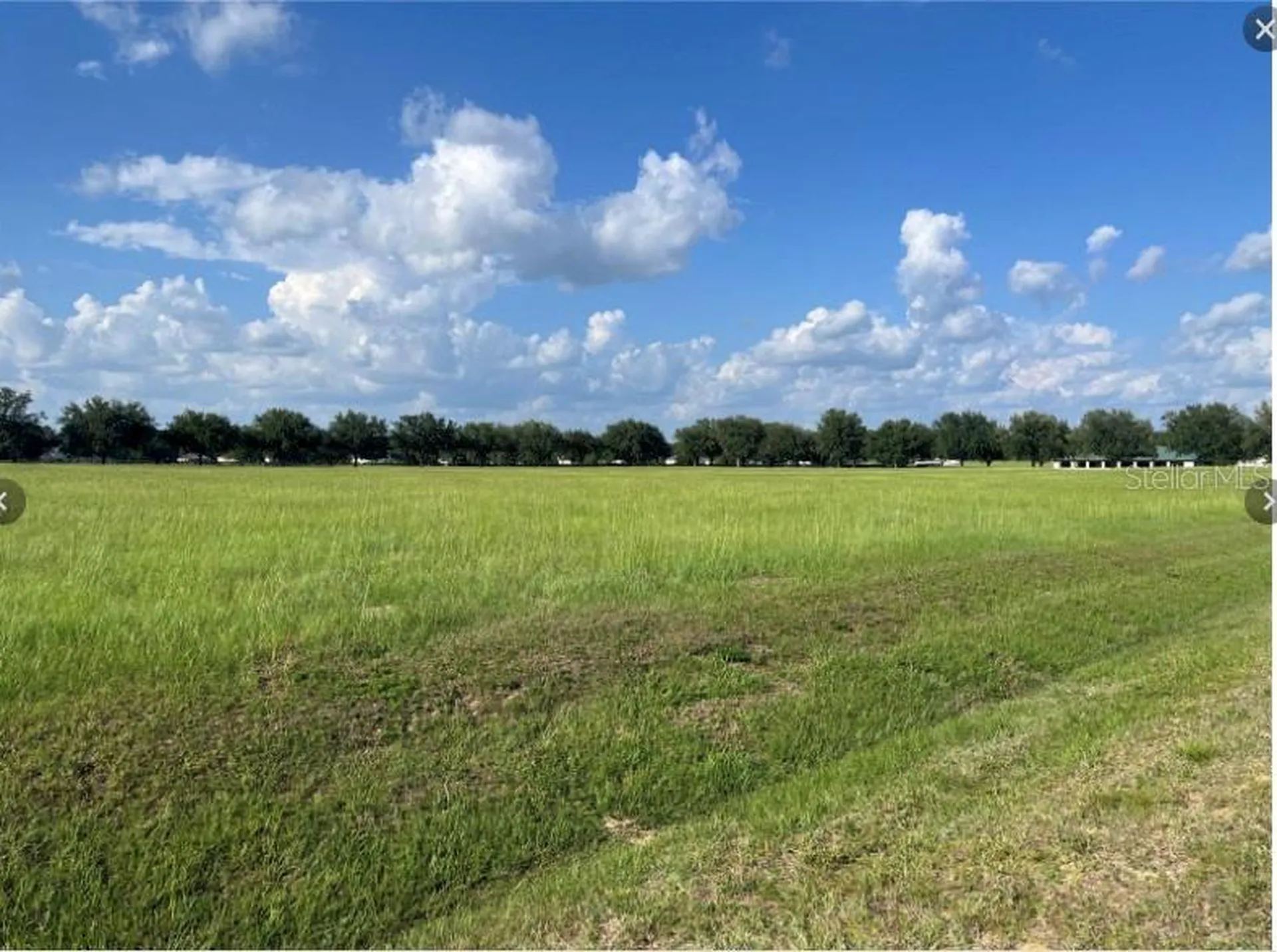 Tbd 54 Loop Ocala FL 34482