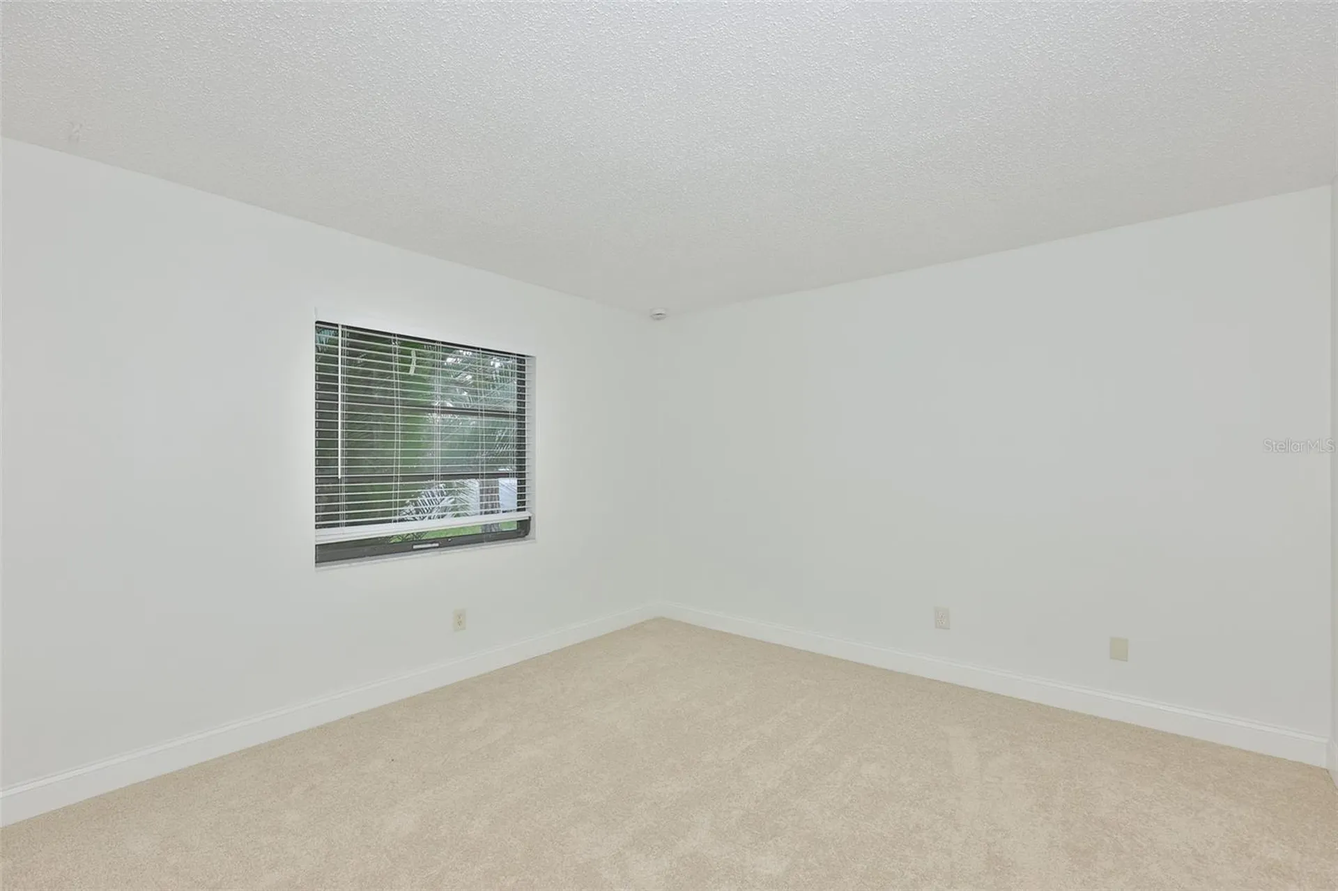 2823 Heron Place Clearwater FL 33762