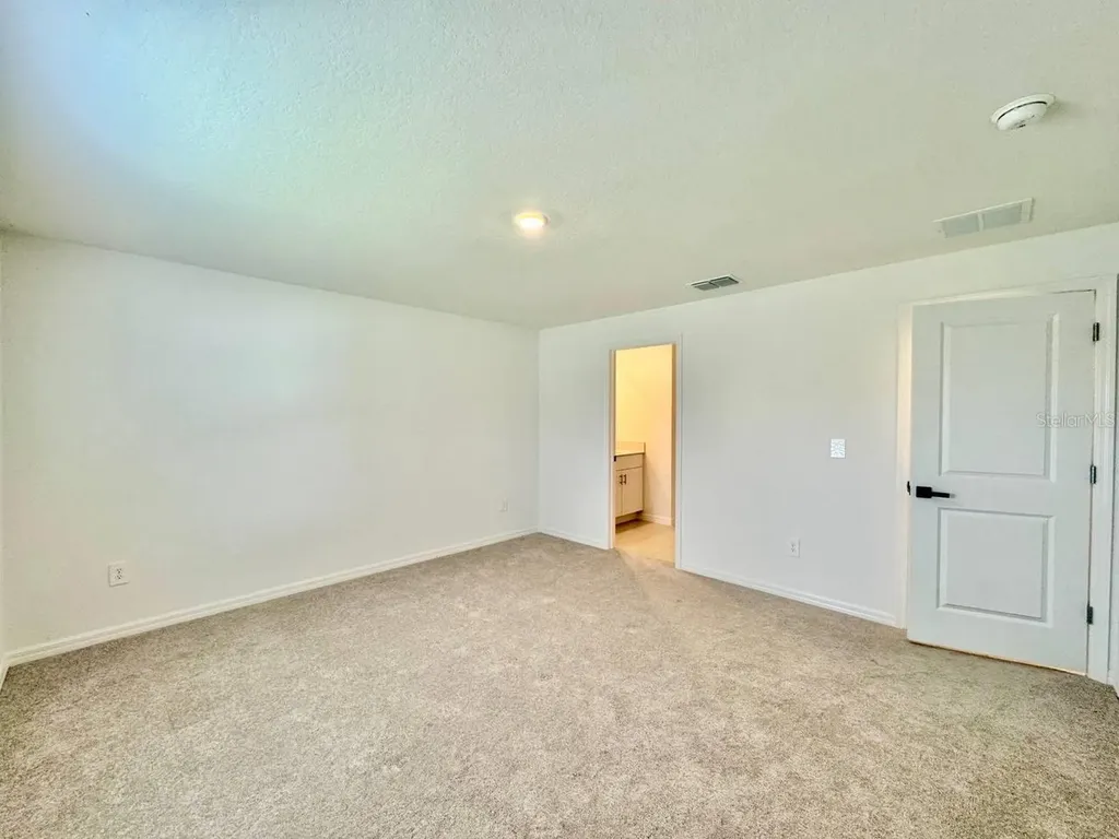 10275 Purple Leaf Court Riverview FL 33578