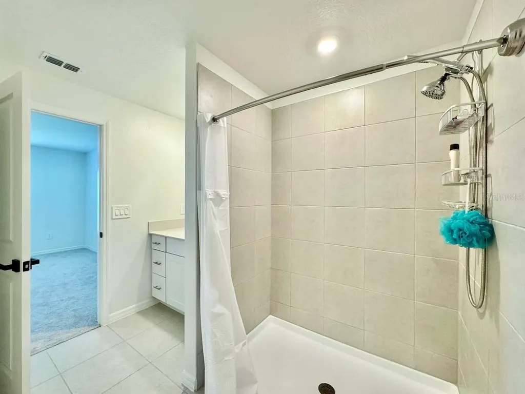 10275 Purple Leaf Court Riverview FL 33578