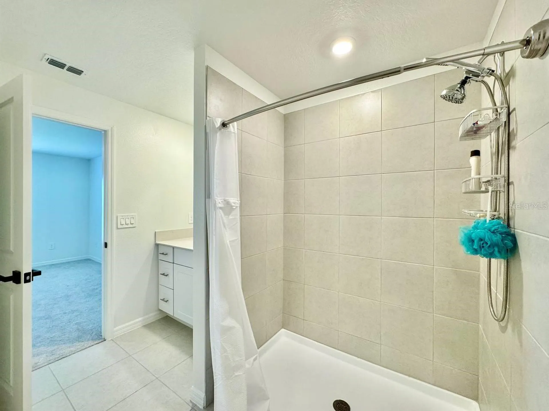 10275 Purple Leaf Court Riverview FL 33578