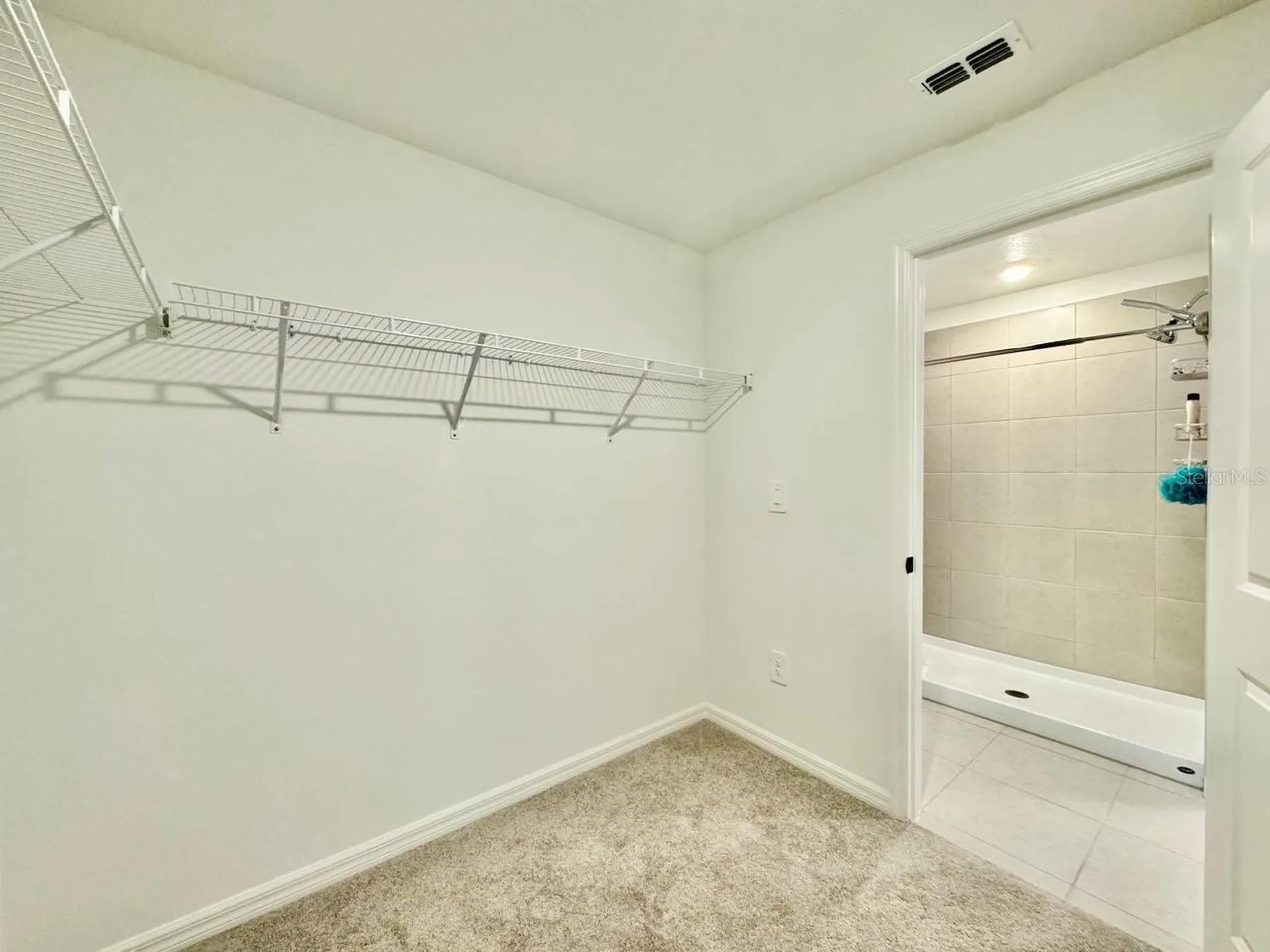10275 Purple Leaf Court Riverview FL 33578