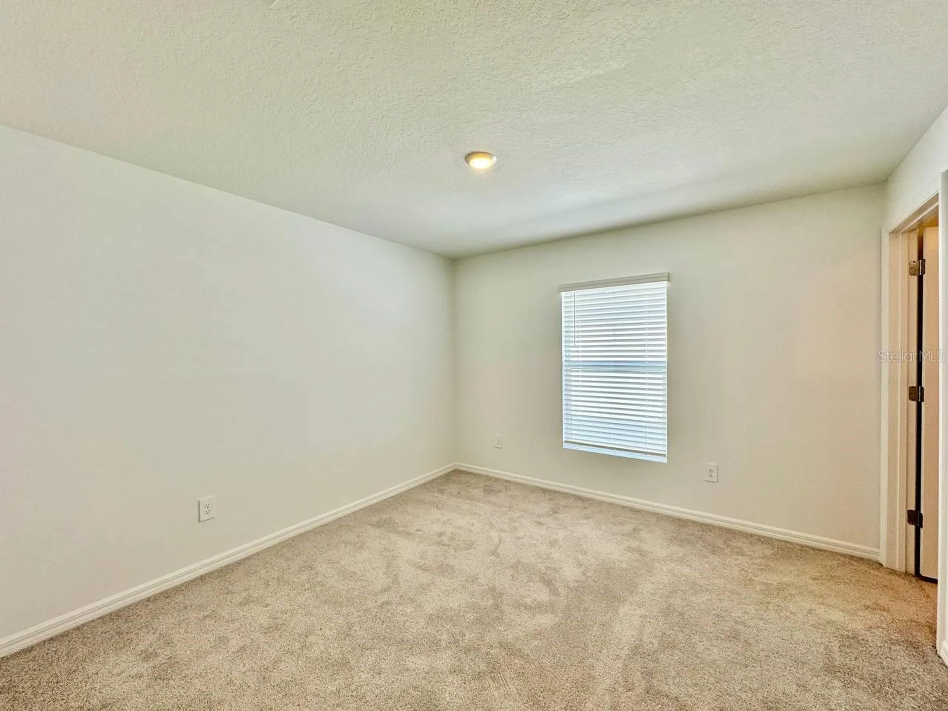 10275 Purple Leaf Court Riverview FL 33578