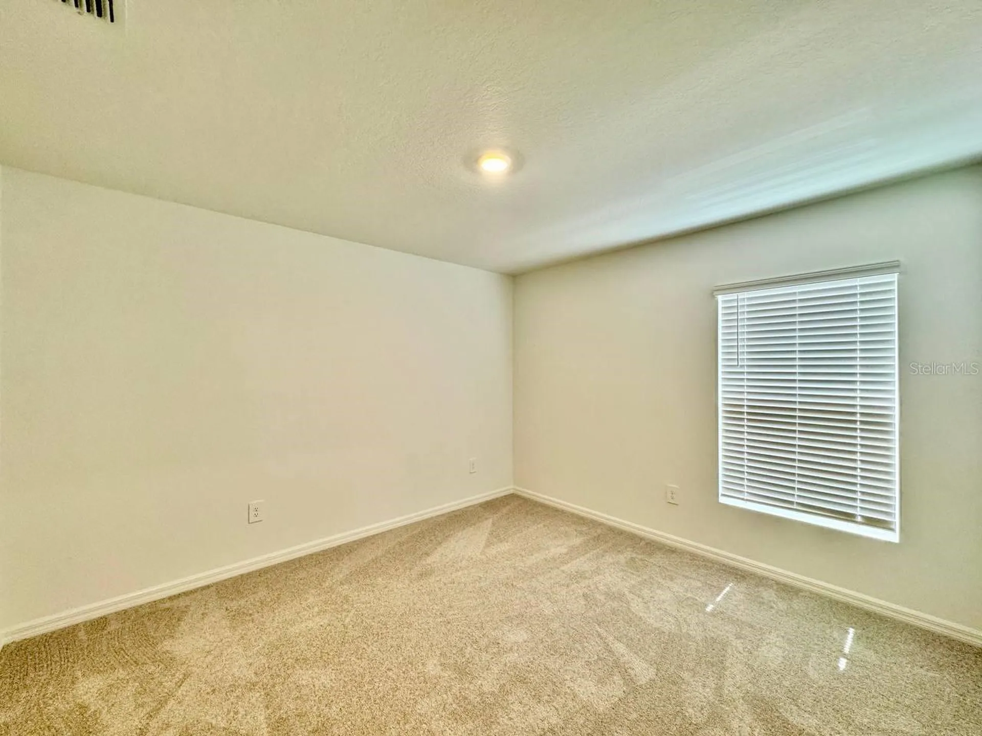 10275 Purple Leaf Court Riverview FL 33578