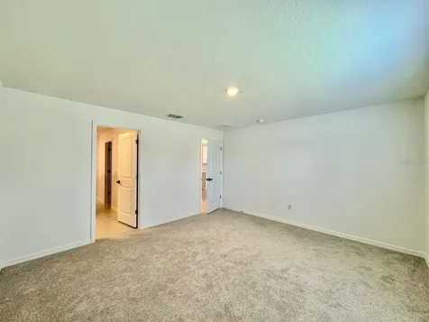 10275 Purple Leaf Court Riverview FL 33578