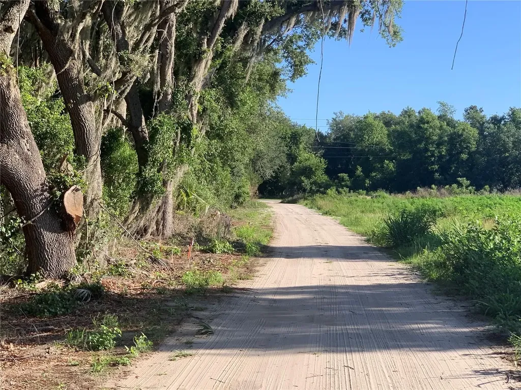 27551 Jackson Court Okahumpka FL 34762