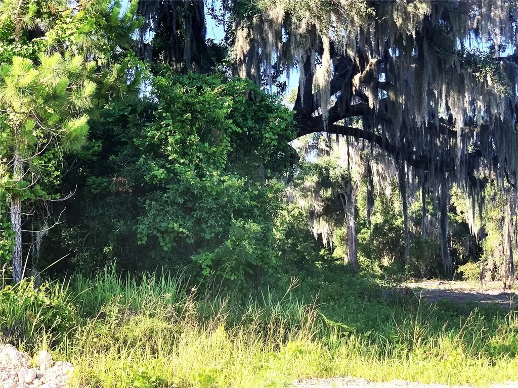 27551 Jackson Court Okahumpka FL 34762