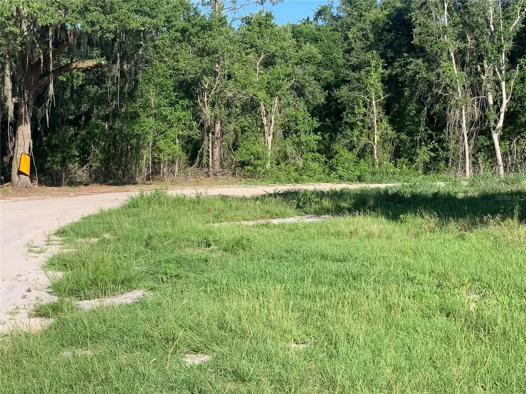 27551 Jackson Court Okahumpka FL 34762