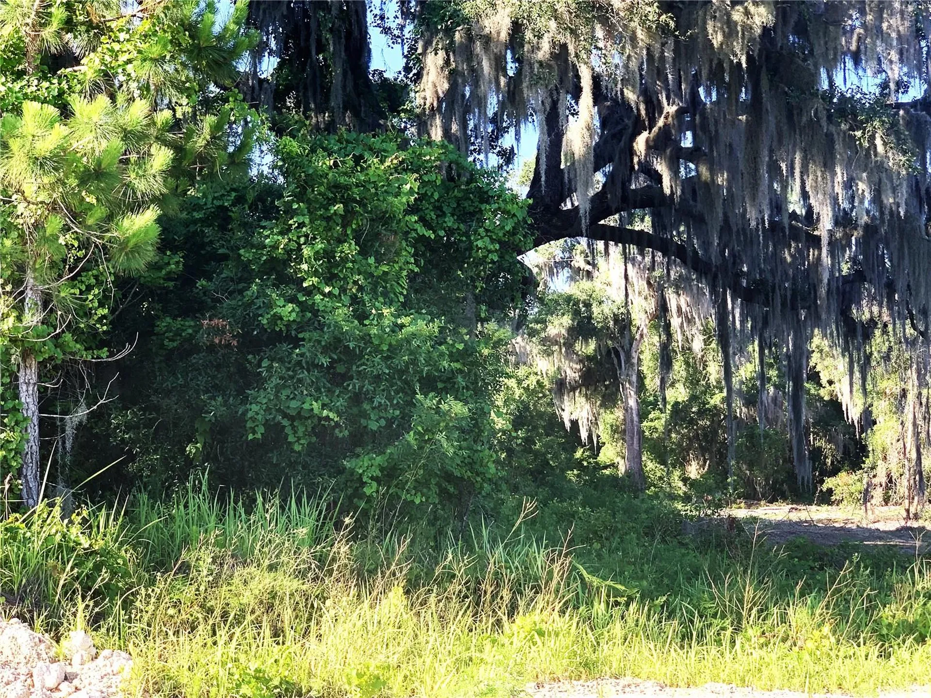 27551 Jackson Court Okahumpka FL 34762