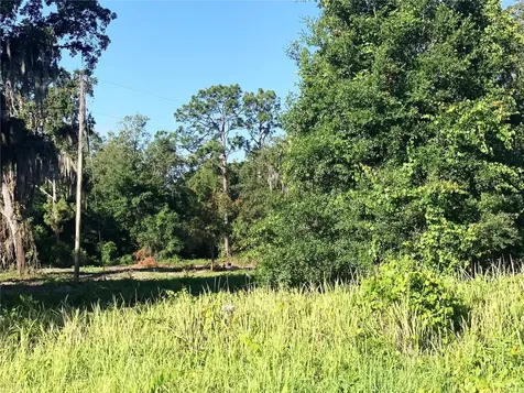 27551 Jackson Court Okahumpka FL 34762