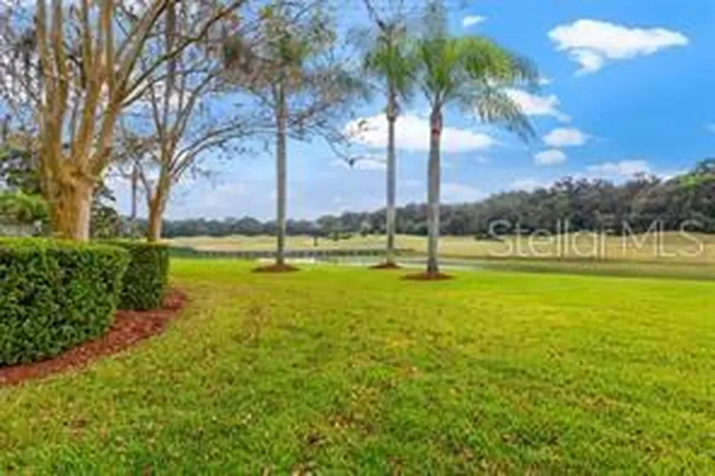 30312 Laurelwood Lane Wesley Chapel FL 33543