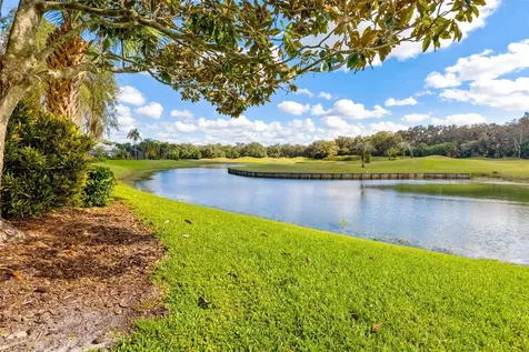 30312 Laurelwood Lane Wesley Chapel FL 33543