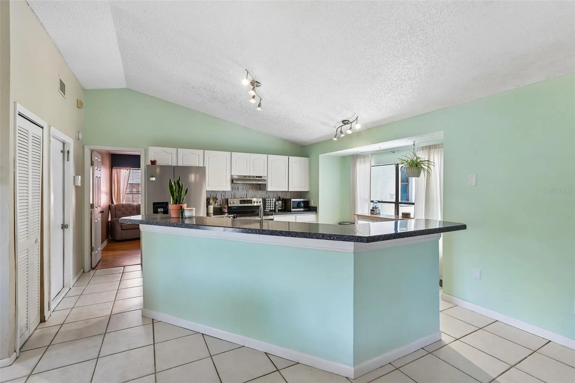 6805 Longpointe Way Tampa FL 33615