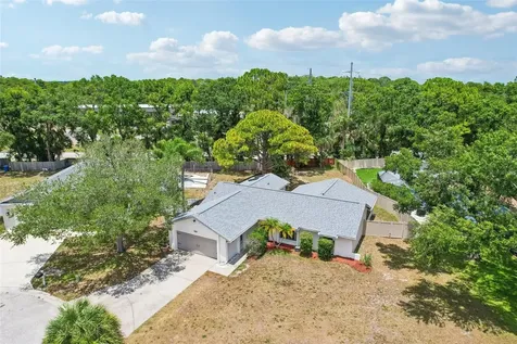 6805 Longpointe Way Tampa FL 33615