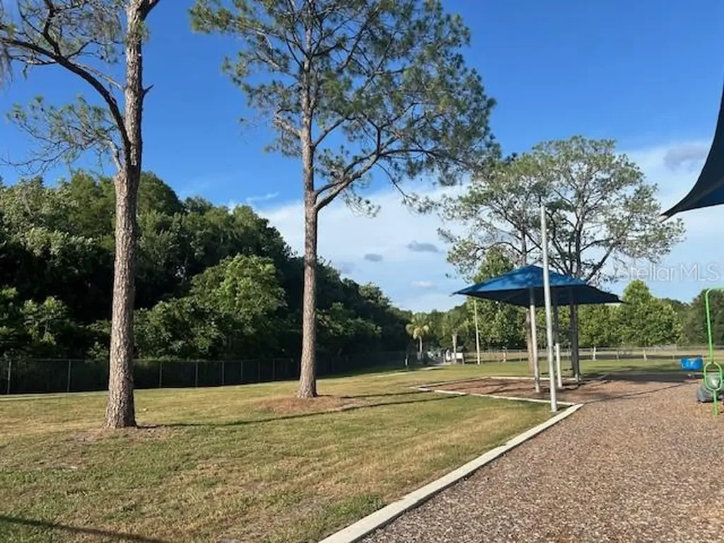 12417 Cardiff Drive Tampa FL 33625