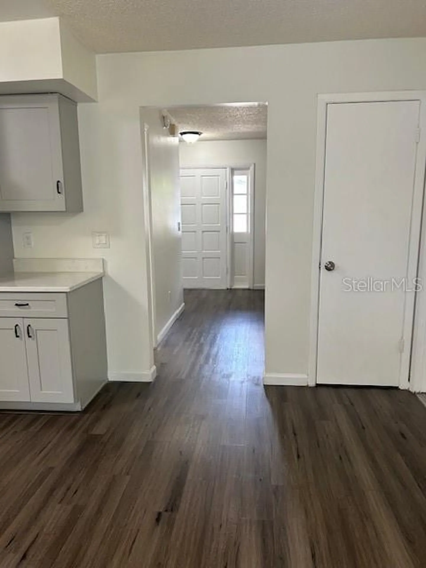 12417 Cardiff Drive Tampa FL 33625
