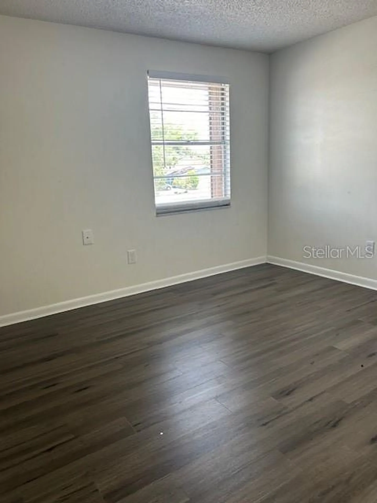 12417 Cardiff Drive Tampa FL 33625
