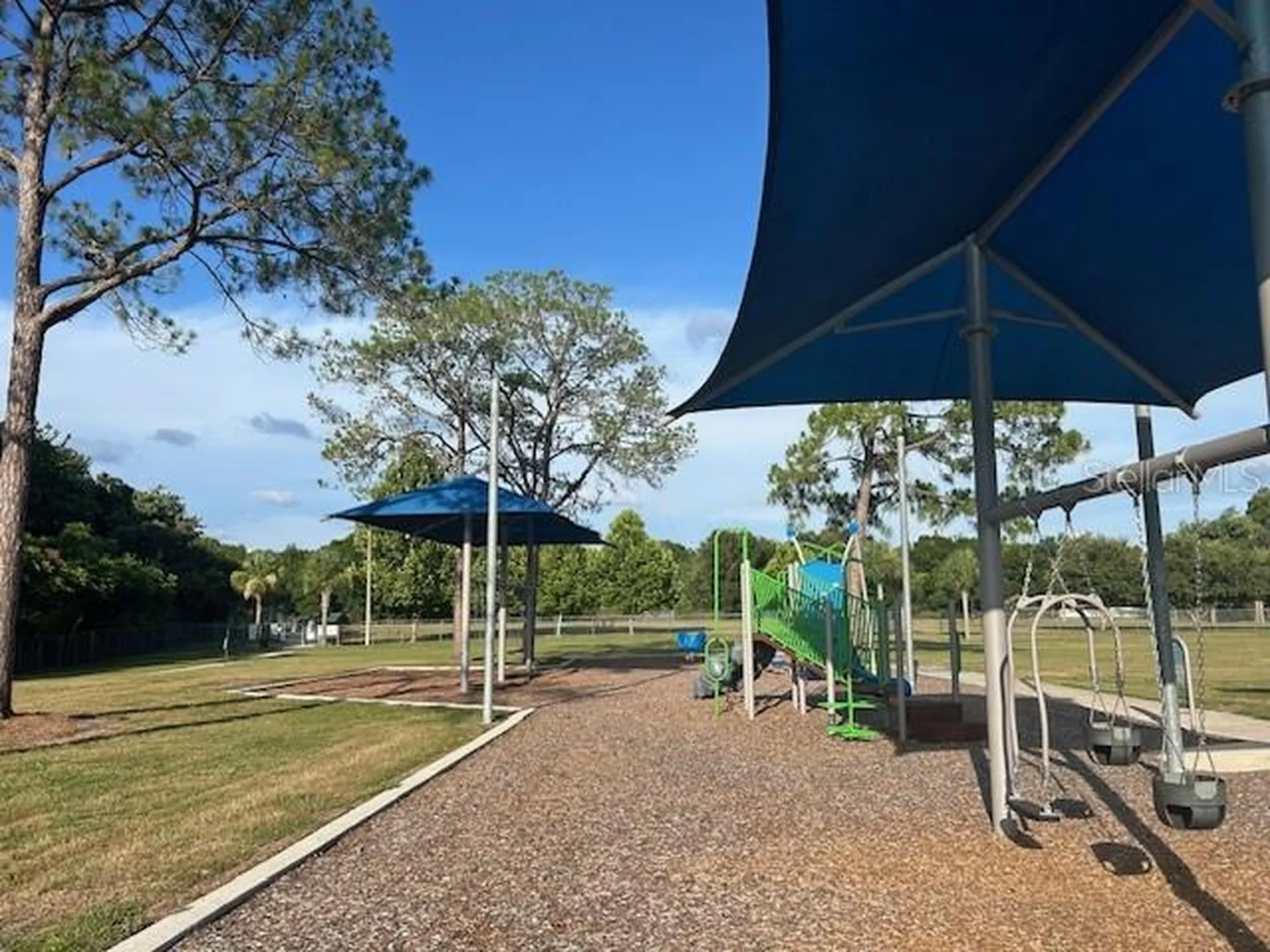 12417 Cardiff Drive Tampa FL 33625