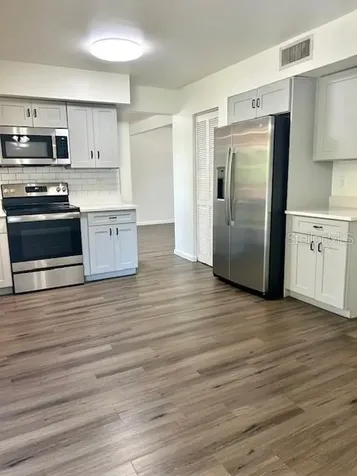 12417 Cardiff Drive Tampa FL 33625