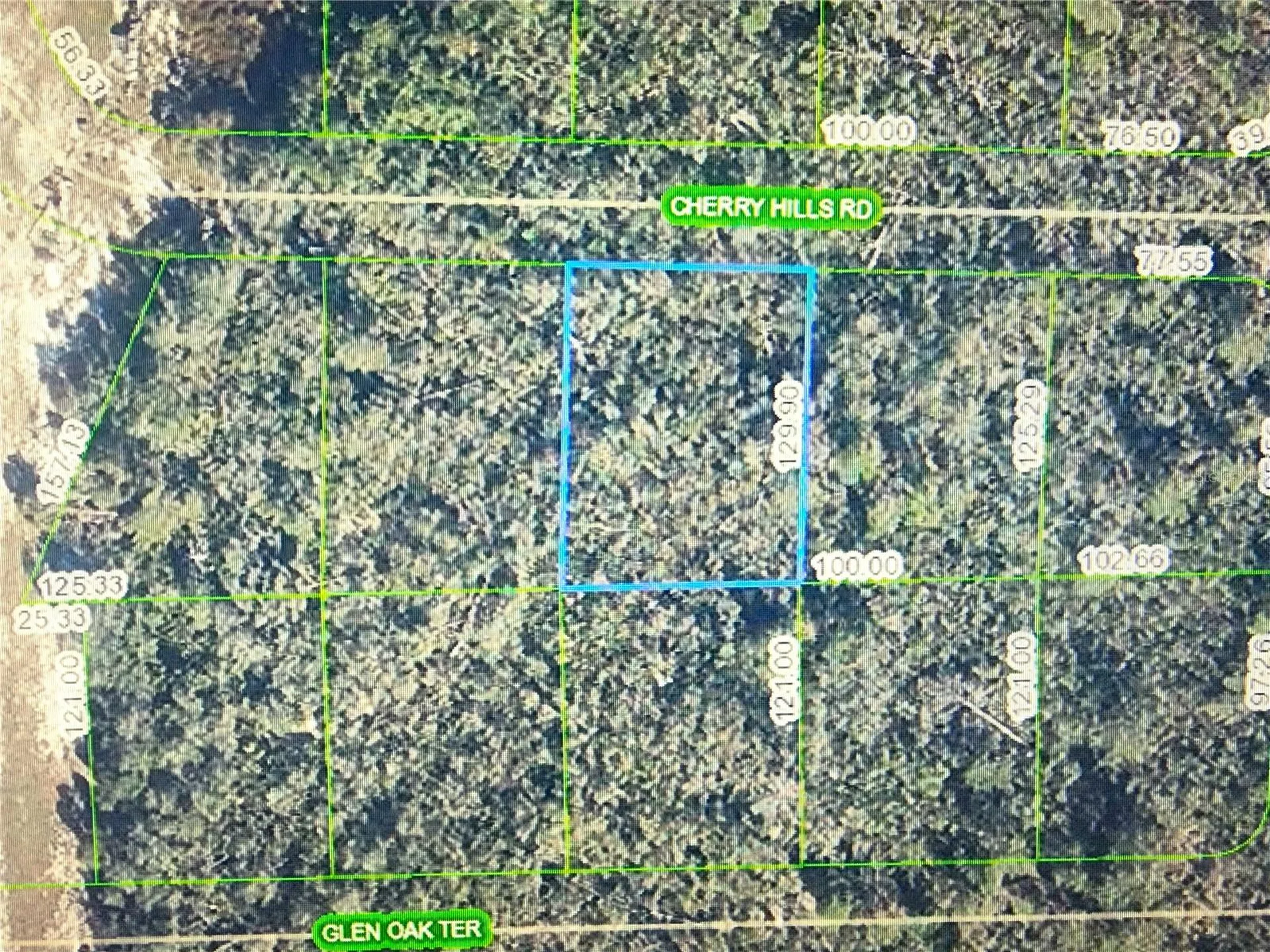 2917 Cherry Hills Road Sebring FL 33875