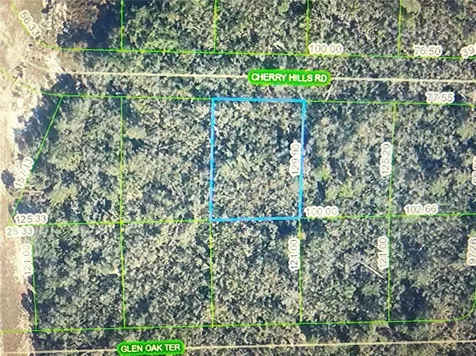 2917 Cherry Hills Road Sebring FL 33875