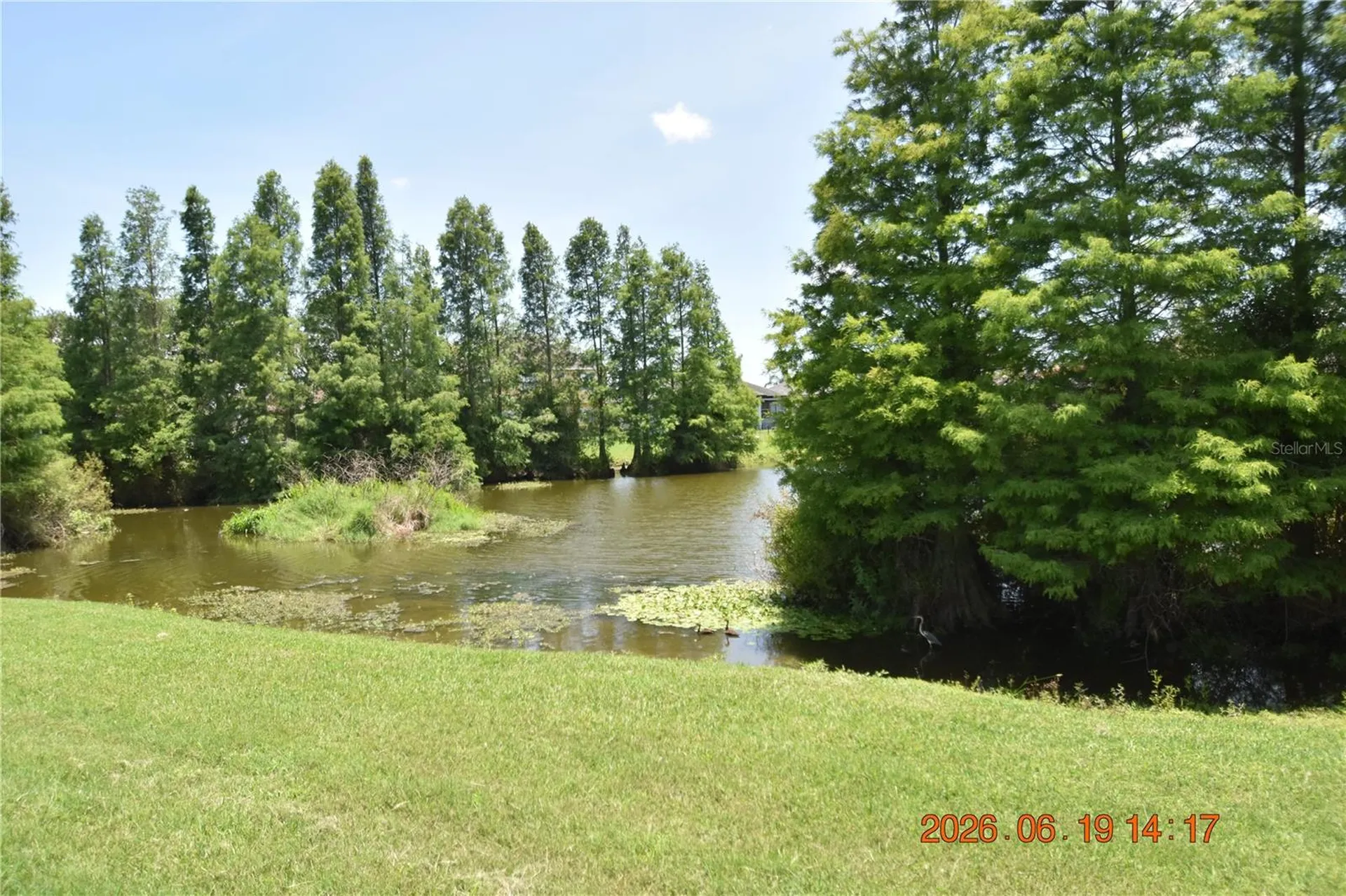 1625 Open Field Loop Brandon FL 33510